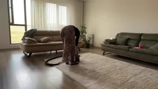 Fatma ile Her Telden @türbanlıtemizlikevhanımı Kanalı Canlı Yayın videoları Part 9