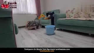 Zeynep Tümbek Çıplaklar Anal Partisi İzle